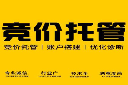 成功SEM托管案例：流量与转化双赢